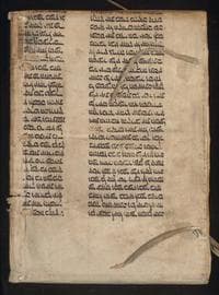 Mosaycarum et Romanarum legum collatio : ex integris Papiniani, Pauli, Ulpiani, Gaii, Modestini, aliorumque veterum Iuris auctorum libris ante tempora Iustiniani Imp. desumpta. Eiusdem Imp. Iustiniani Novellae Constitutiones III. Iuliani Antecessoris CP. Dictatum de Consiliariis. Eiusdem Iuliani Collectio de contutoribus ; Ex bibliotheca P. Pithoei IC. cuius etiam Notae emendatiores adiectae sunt