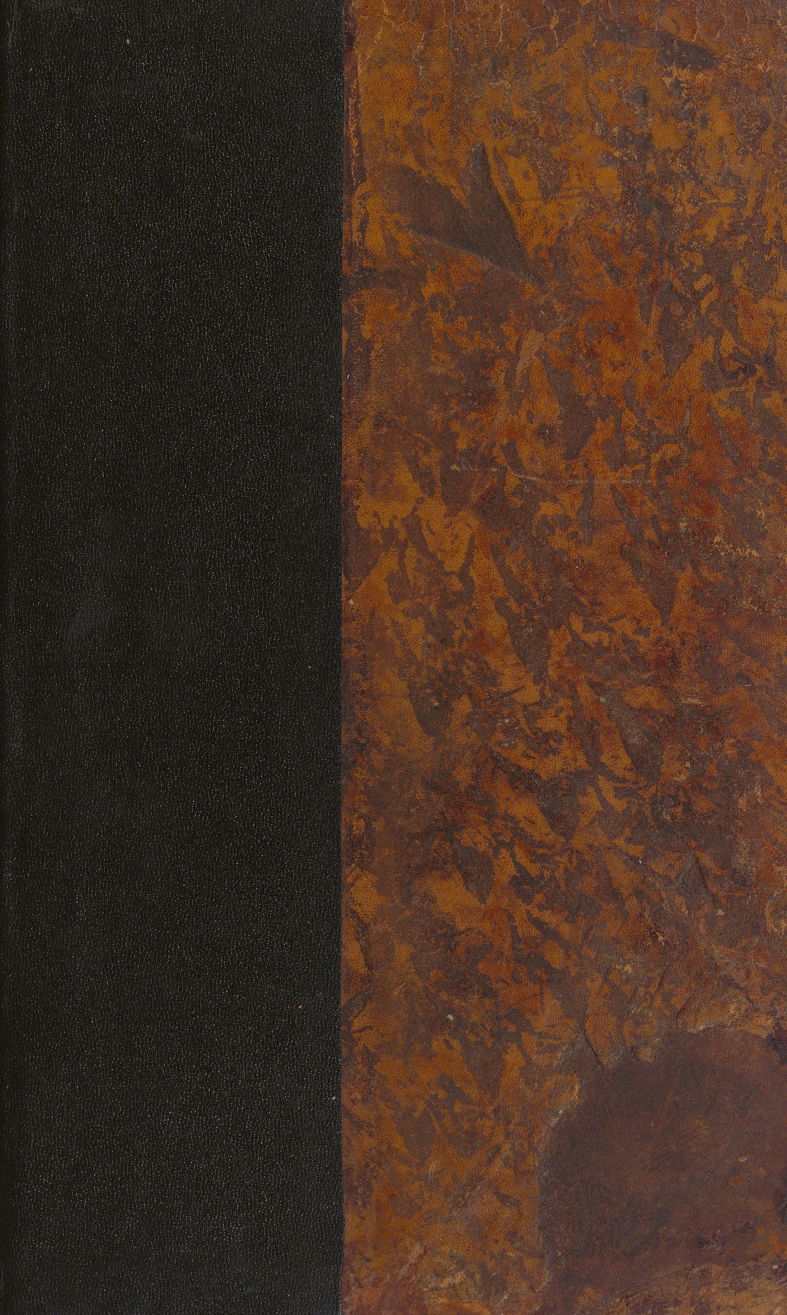 Histoire des Champignons de la France, Vol 1