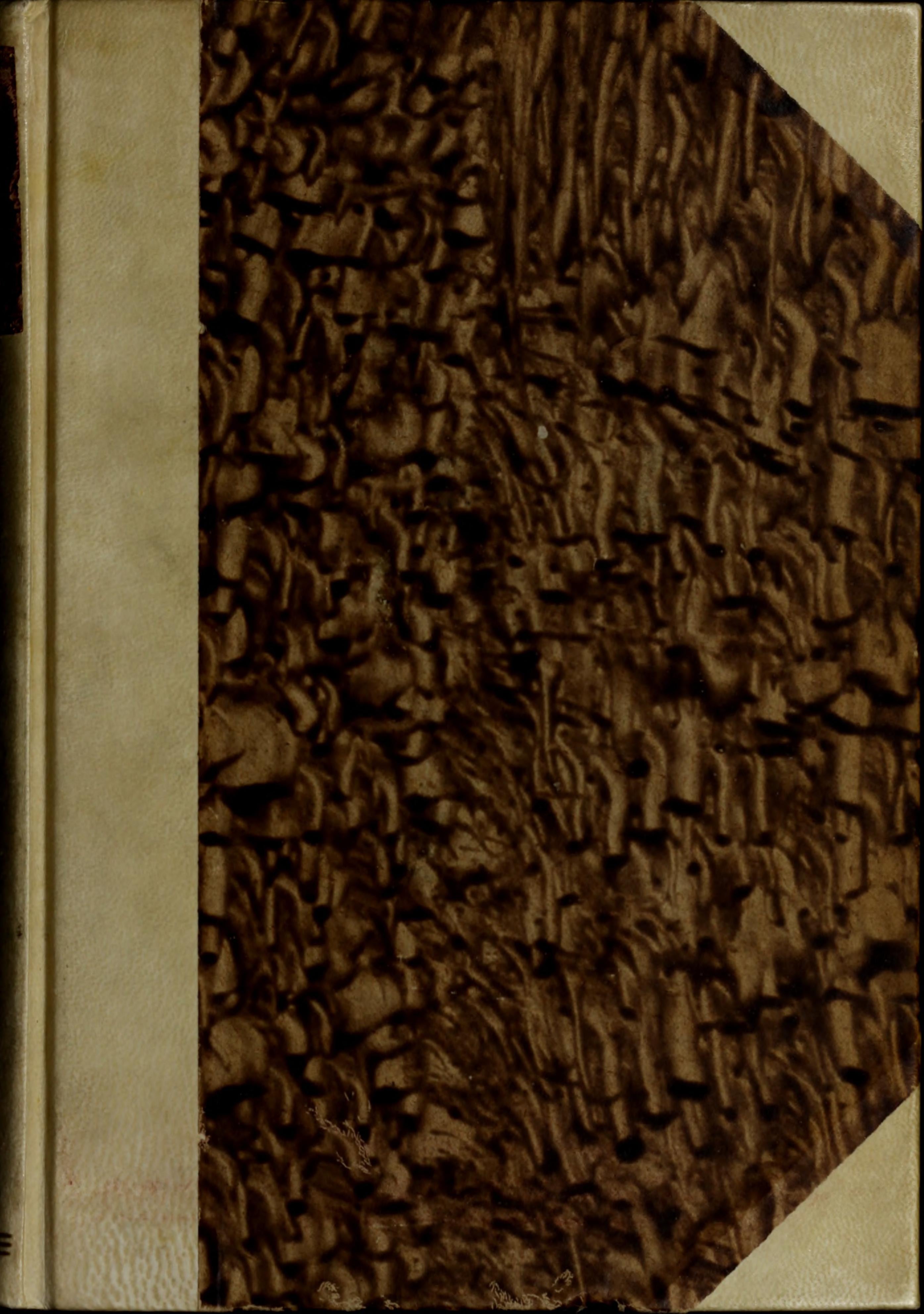 Codex Magliabechiano