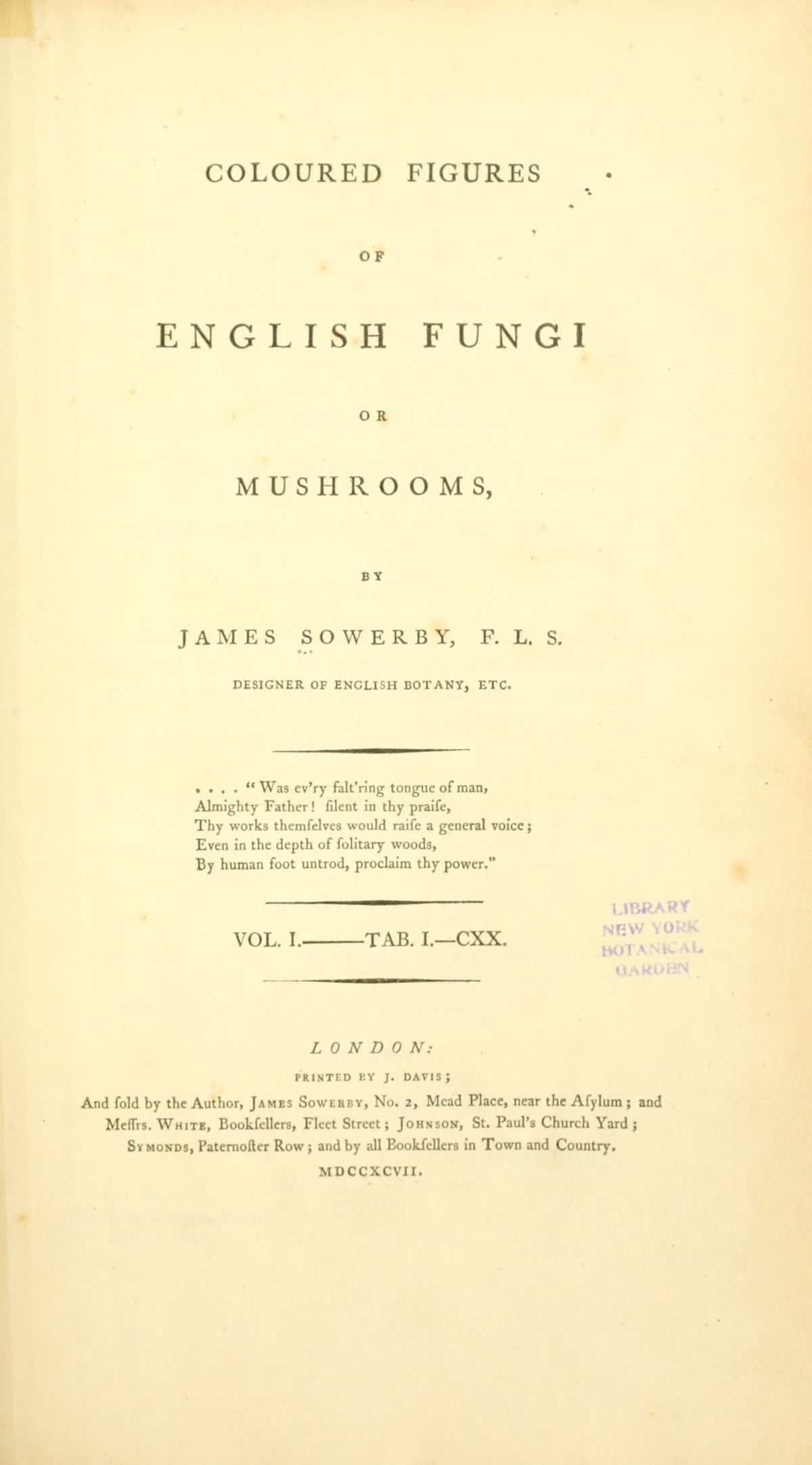 Coloured Figures of English Fungi or Mushrooms