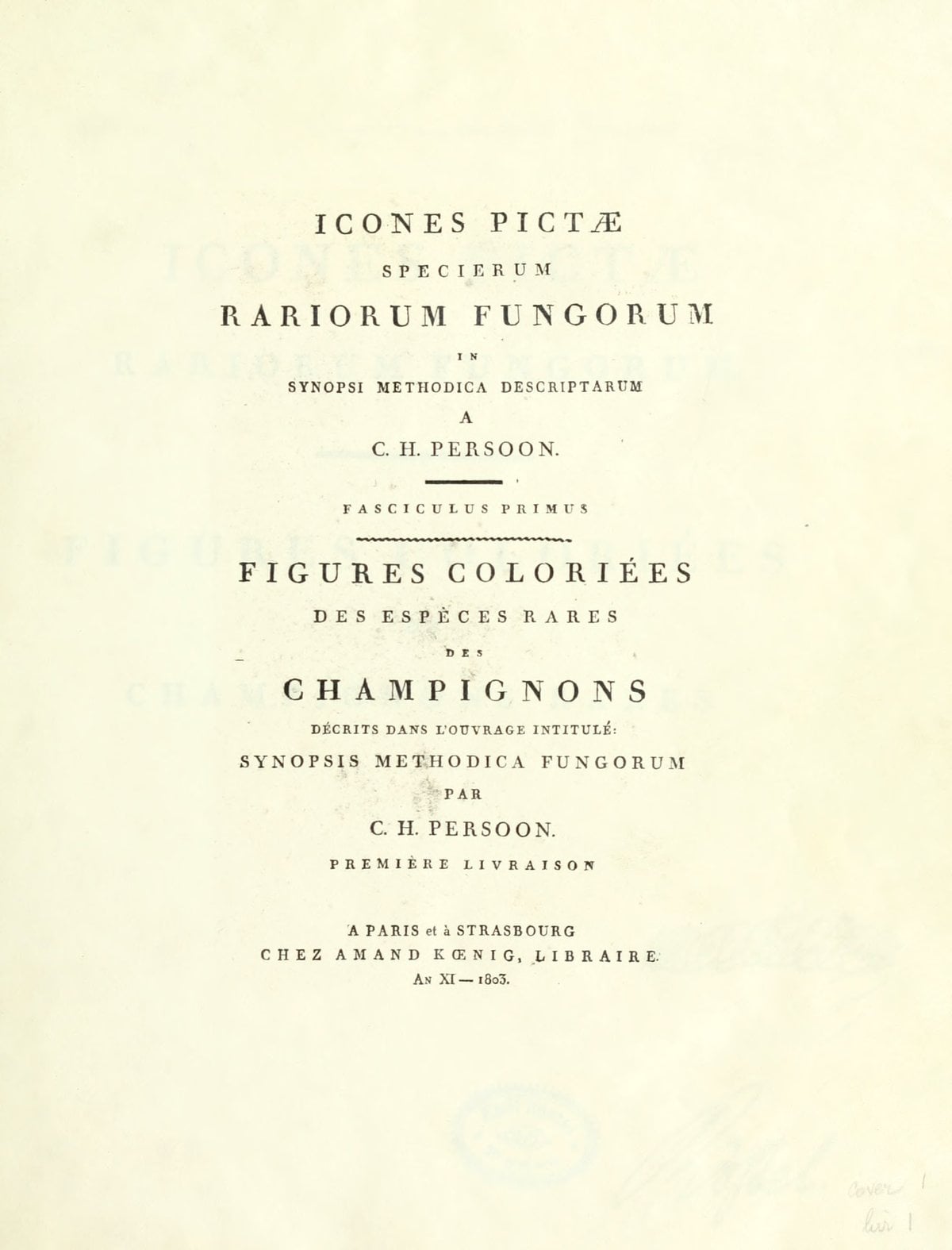 Illustrated Icons of Rare Fungi Species