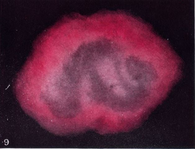 Vague Selfish Affection