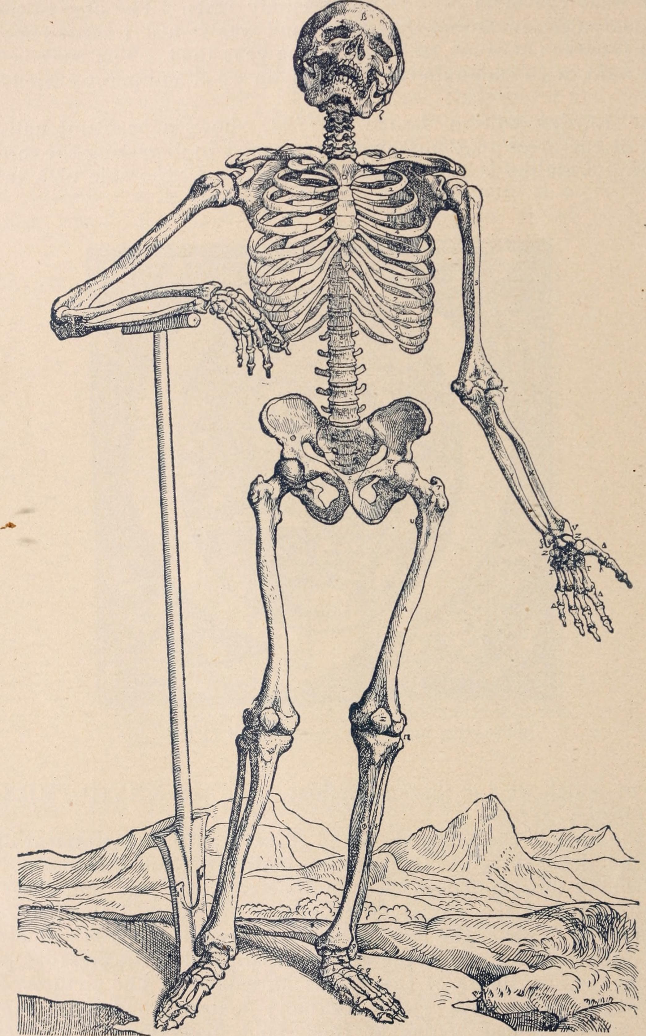 Tri-State medical journal and practitioner (1897) (14591648250)