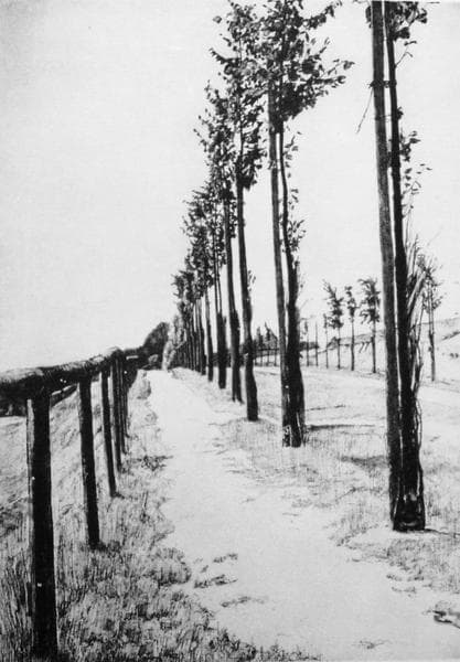 Max Klinger, Zeichnung "Weg mit Pappeln" oder "Landstraße"