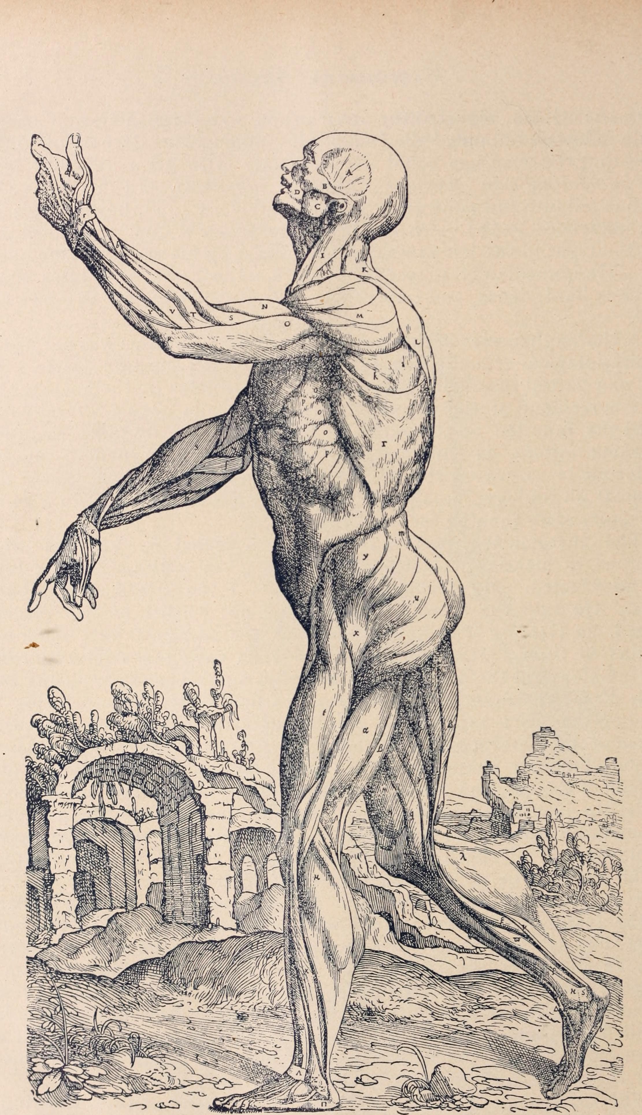 Tri-State medical journal and practitioner (1897) (14591666580)