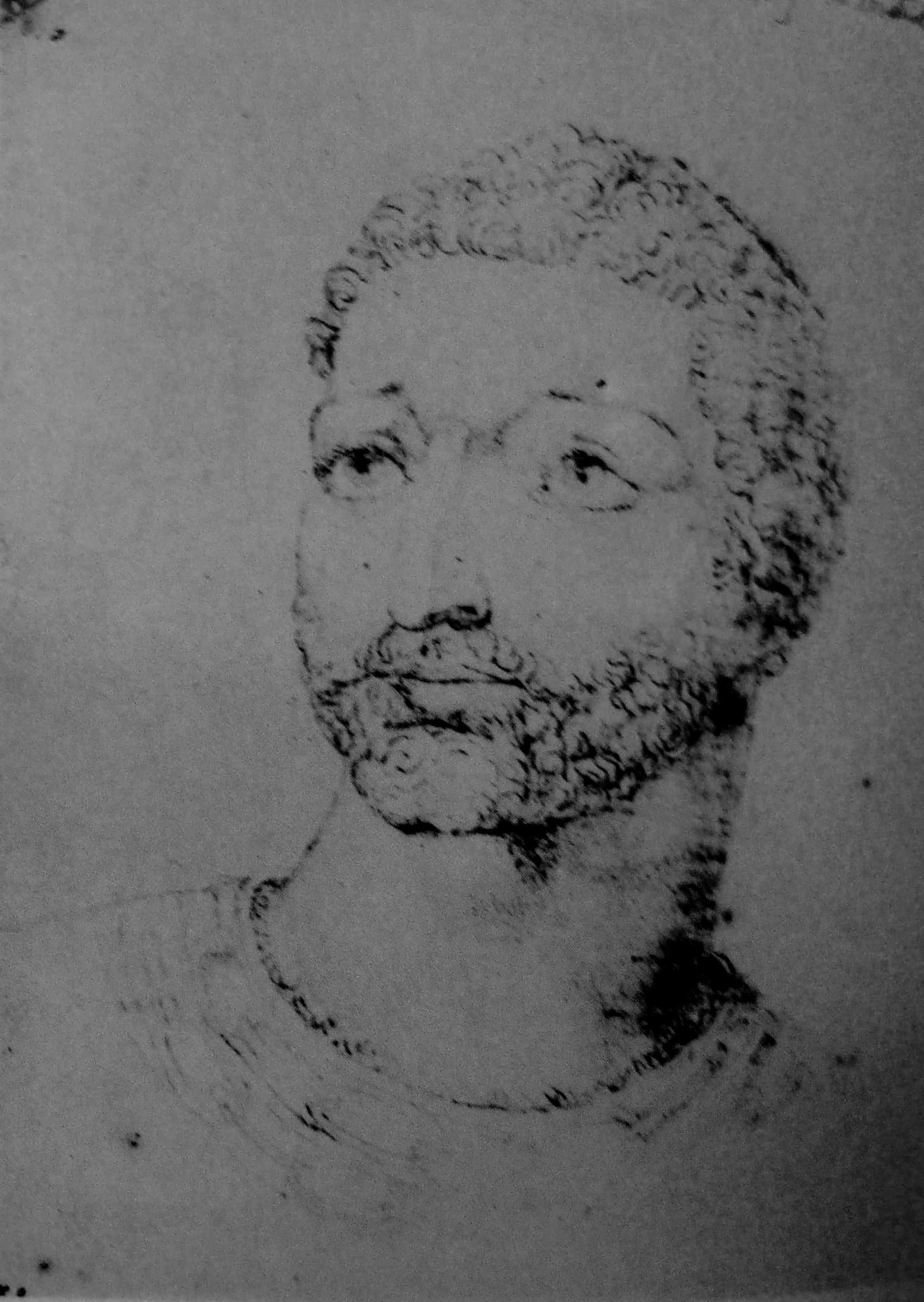 Faulconberg the Bastard